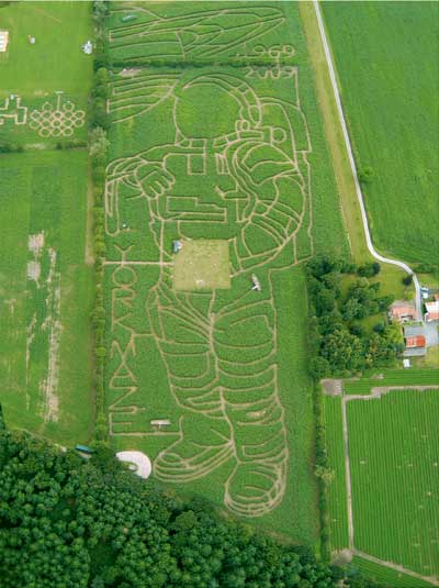 Short Break York - York Maze